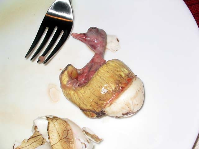 Name:  balut.jpg
Views: 1272
Size:  31.7 KB