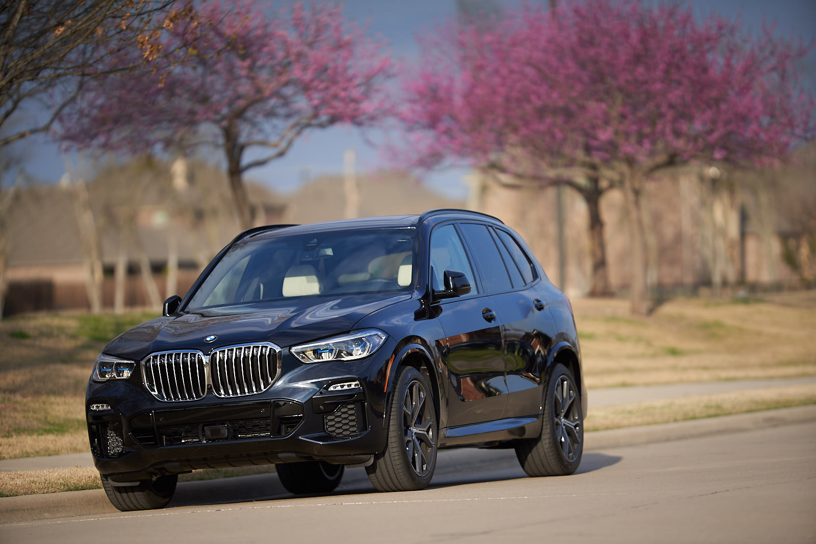 Name:  2019_BMW_X5_xDrive_ 4.jpg
Views: 5280
Size:  190.6 KB