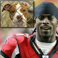 Name:  20070817-MichaelVick Pitbull.jpg
Views: 1609
Size:  15.3 KB