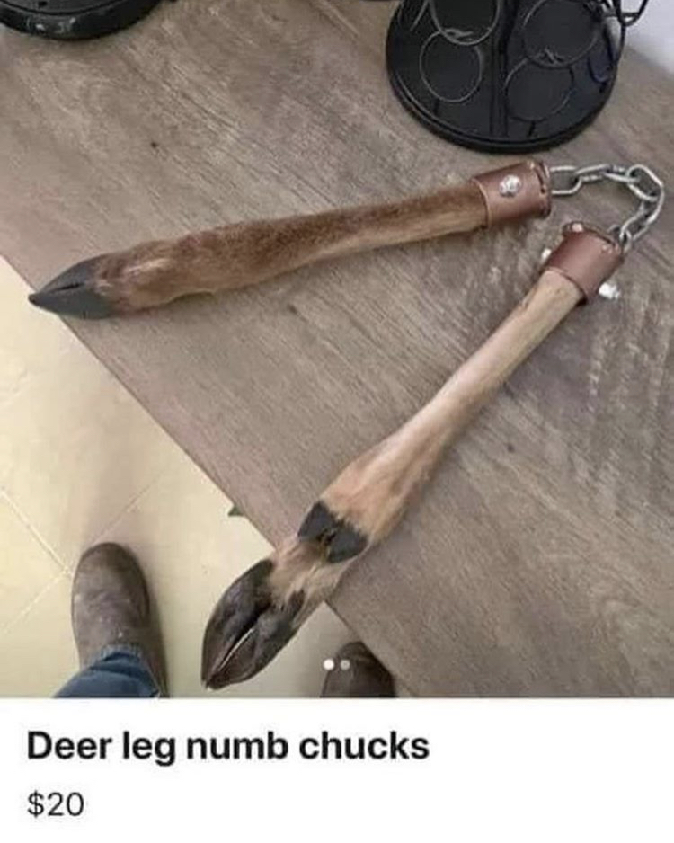 Name:  DEER.jpeg
Views: 2023
Size:  404.7 KB