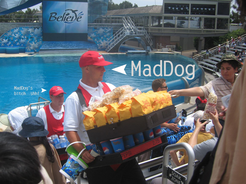 Name:  MadDog.jpg
Views: 473
Size:  384.9 KB