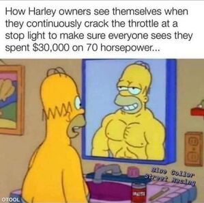 Name:  homer.jpeg
Views: 1632
Size:  35.7 KB