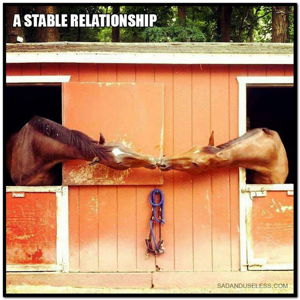 Name:  Stable..jpg
Views: 1136
Size:  117.4 KB