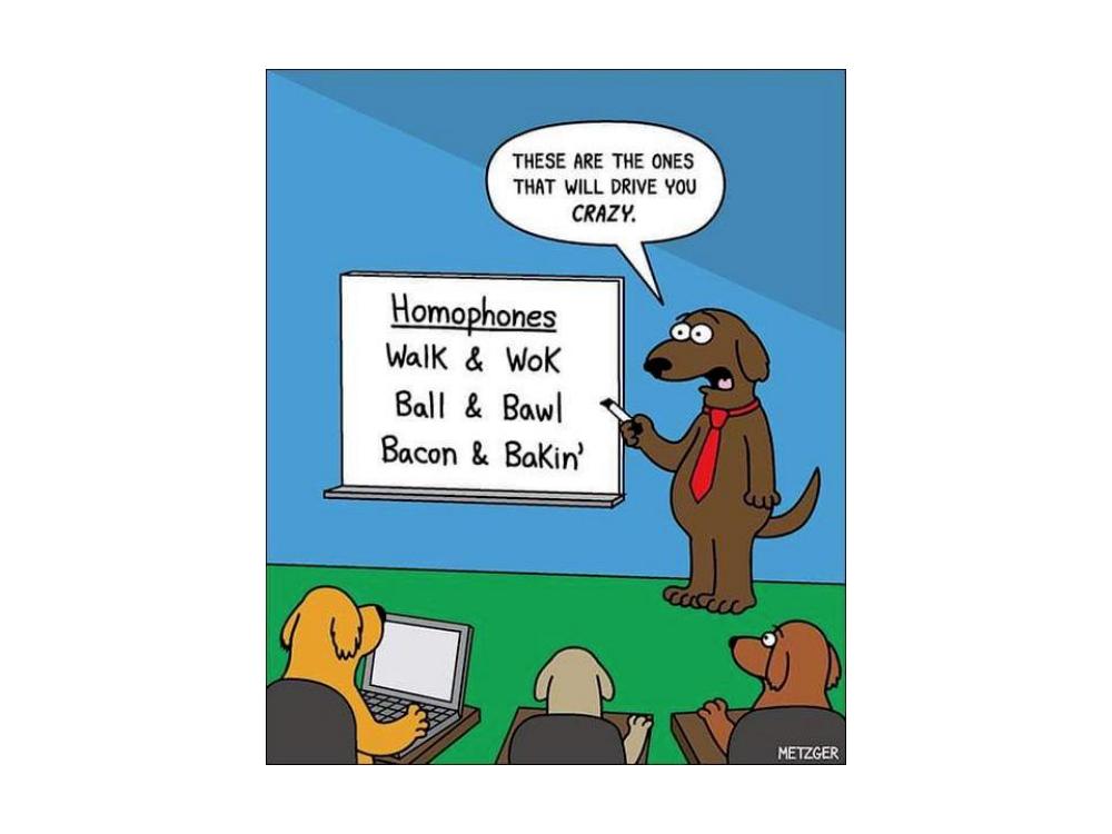 Name:  Homophones..jpg
Views: 1138
Size:  51.2 KB