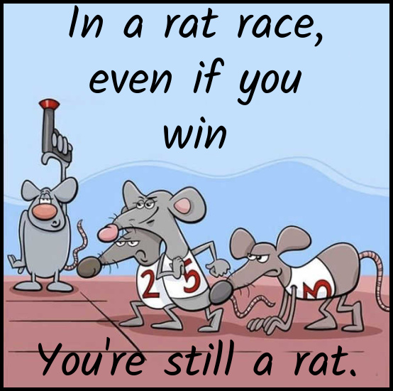 Name:  Rat Race (1).jpg
Views: 1024
Size:  121.8 KB