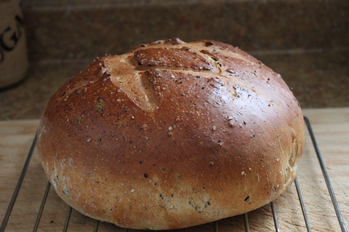 Name:  Olive bread 2.JPG
Views: 5470
Size:  118.8 KB