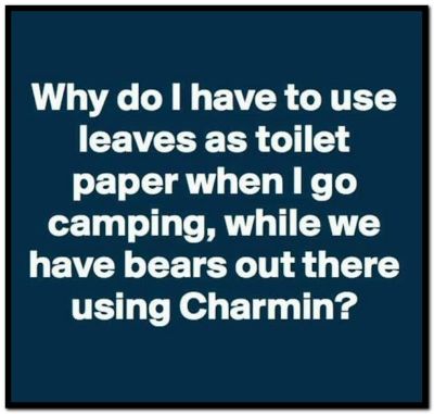 Name:  Charmin (1).jpg
Views: 1652
Size:  74.6 KB