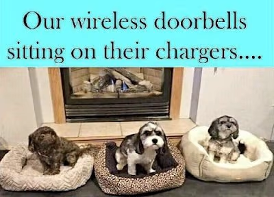 Name:  dog-doorbells.png
Views: 1259
Size:  206.9 KB