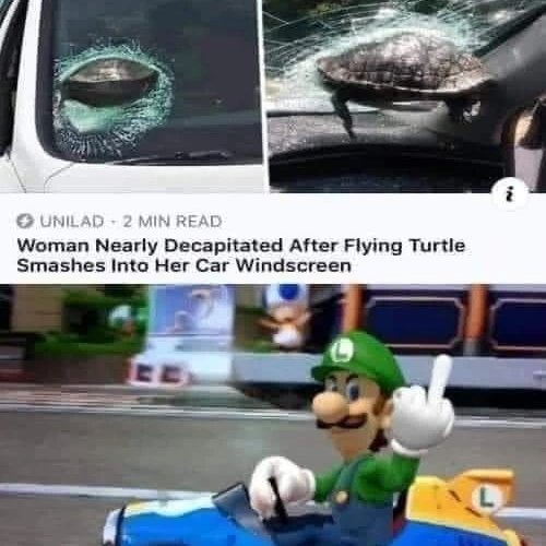 Name:  luigi.jpg
Views: 1457
Size:  45.5 KB