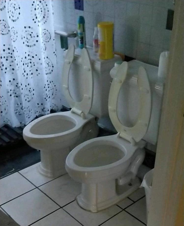 Name:  Toilet.jpg
Views: 1171
Size:  112.4 KB