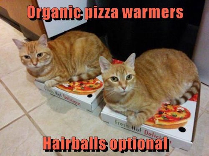 Name:  hairballs-not-optional-if-you-dont-share.jpeg
Views: 1416
Size:  77.8 KB