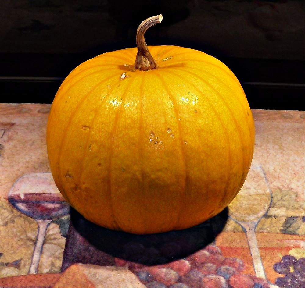 Name:  Pumpkin..jpg
Views: 812
Size:  121.4 KB