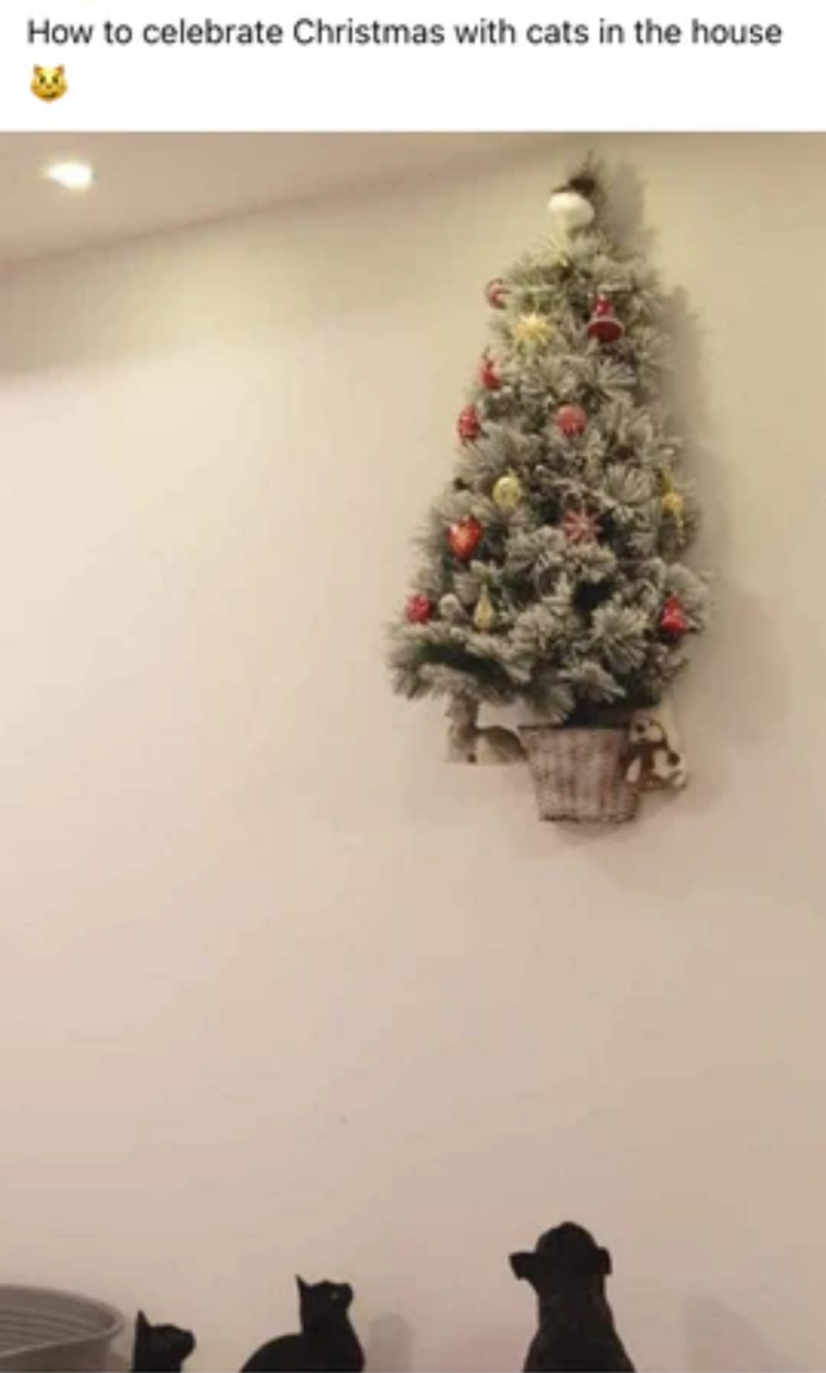 Name:  Cats_XMasTree.png
Views: 654
Size:  352.0 KB