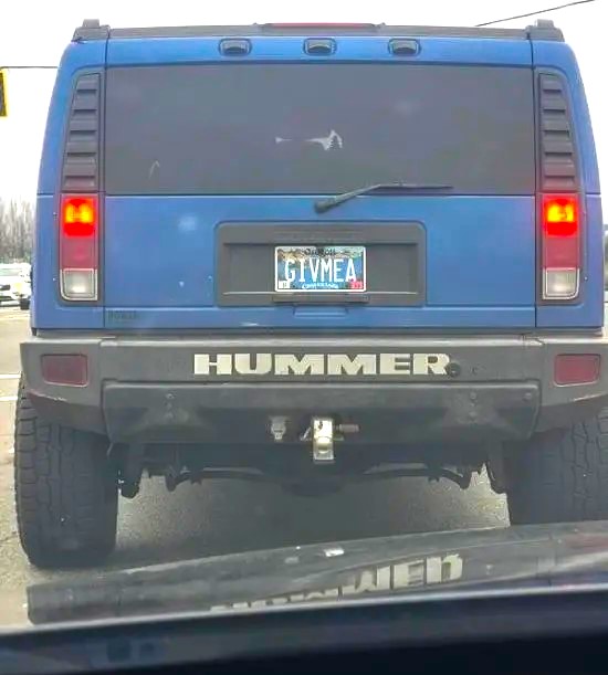 Name:  Hummer..jpg
Views: 1000
Size:  54.6 KB