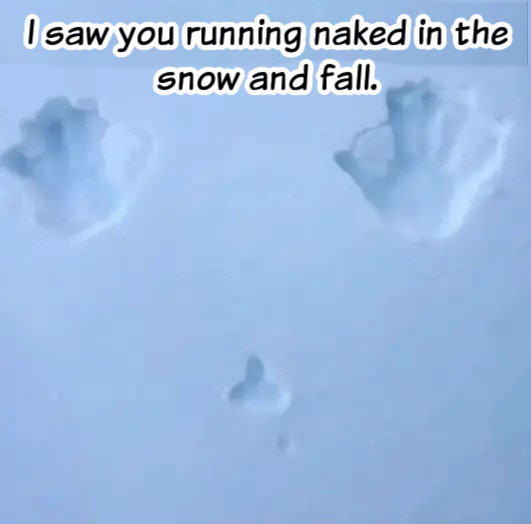 Name:  Running in the snow..jpg
Views: 1155
Size:  47.6 KB