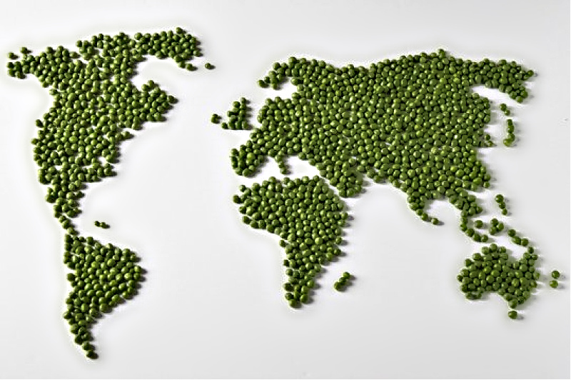 Name:  Peas..jpg
Views: 1157
Size:  191.0 KB