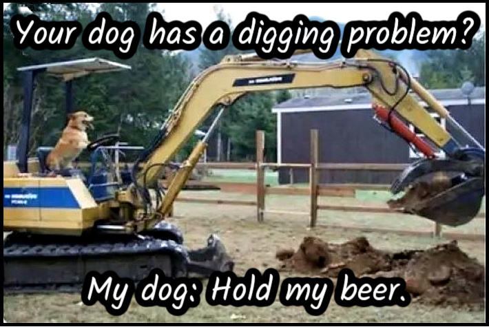 Name:  Digging. (1).jpg
Views: 963
Size:  177.2 KB