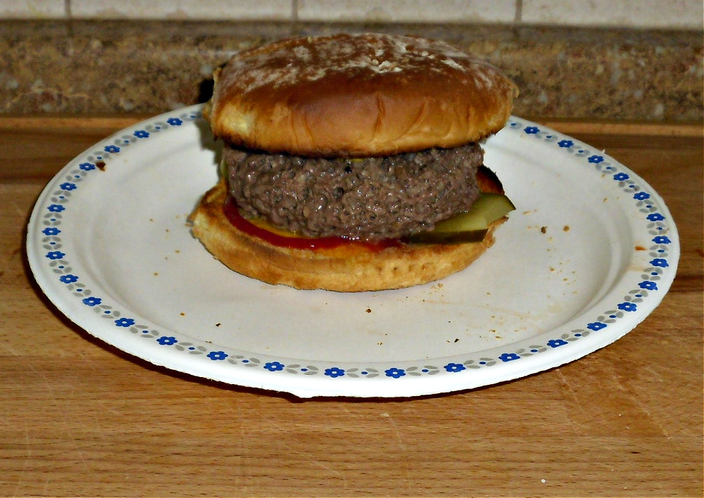 Name:  Chz burger..jpg
Views: 224
Size:  342.1 KB