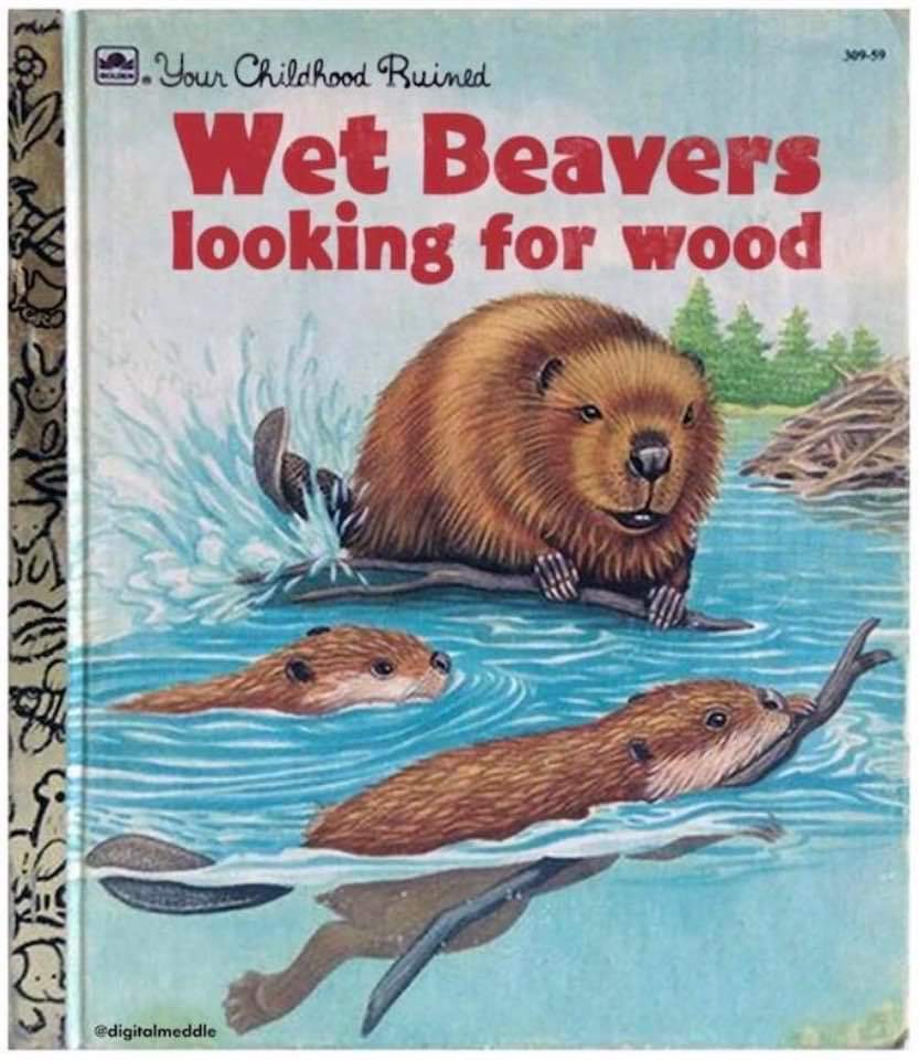 Name:  Wet_Beavers.jpg
Views: 546
Size:  85.4 KB