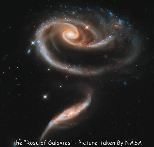 Name:  Rose of galaxies..jpg
Views: 2610
Size:  23.8 KB