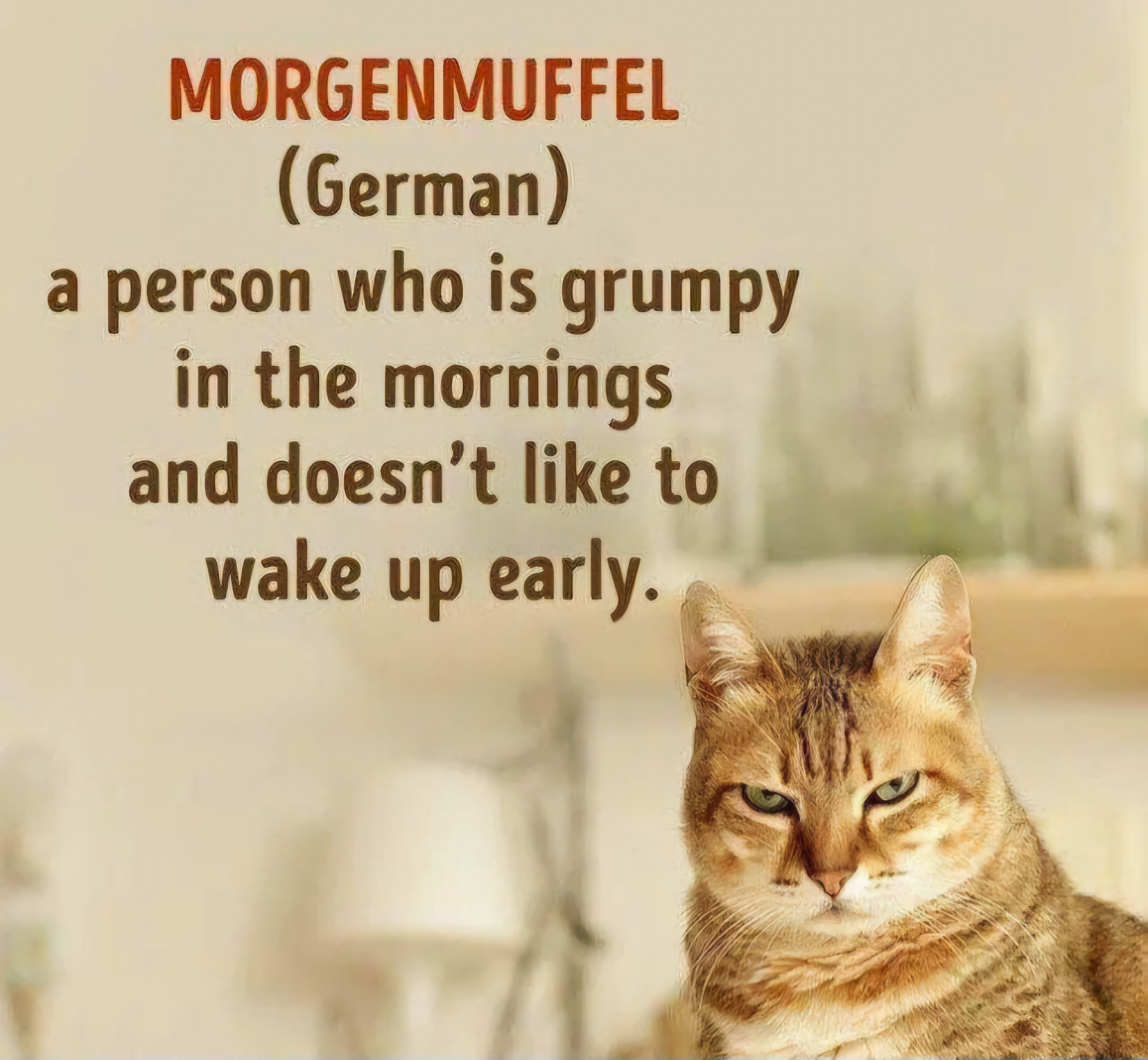 Name:  Morgenmuffel.jpg
Views: 1393
Size:  988.9 KB