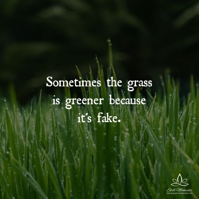 Name:  fakegrass.jpg
Views: 160
Size:  47.5 KB