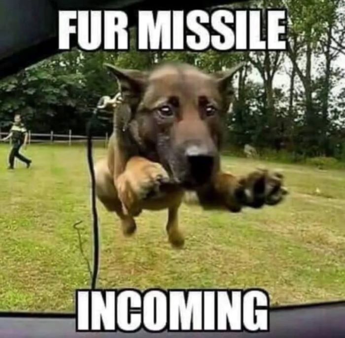 Name:  fur-missile-incoming.jpg
Views: 233
Size:  71.4 KB