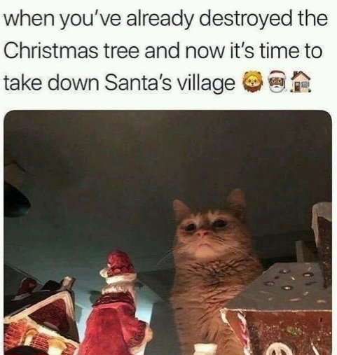 Name:  Cat_Christmas.jpg
Views: 179
Size:  77.1 KB