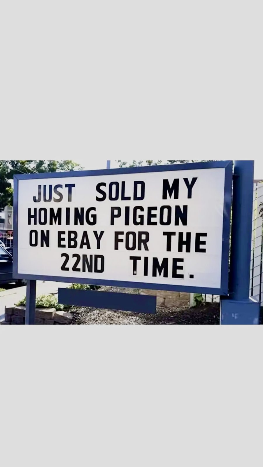 Name:  ebay-homing-pigeon.jpg
Views: 428
Size:  104.0 KB