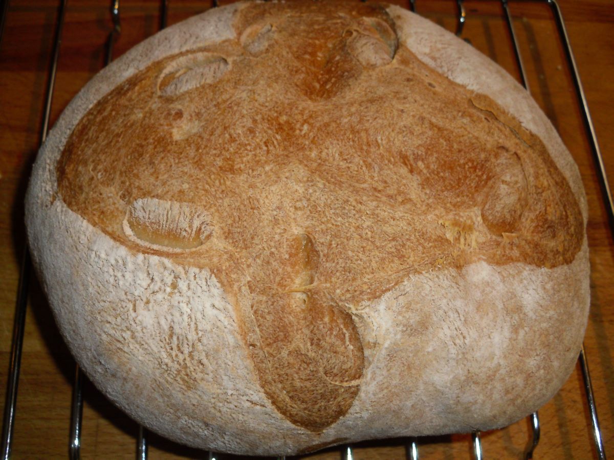 Name:  Bread 2.JPG
Views: 159
Size:  178.0 KB