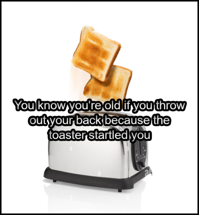 Name:  Toaster (1).jpg
Views: 22
Size:  98.7 KB