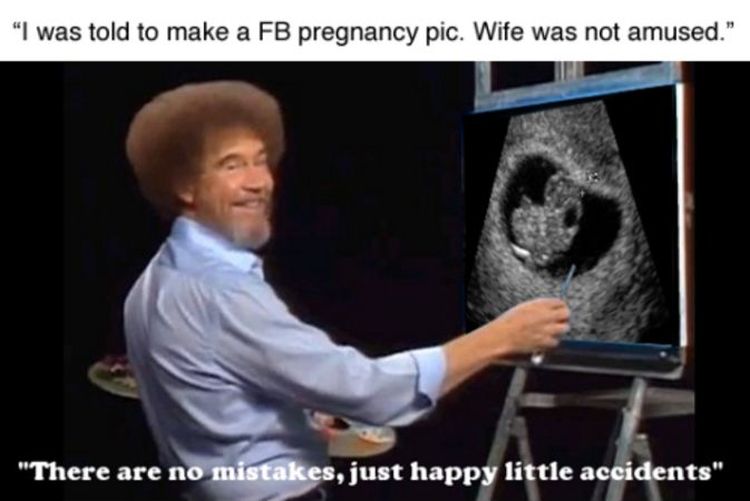 Name:  BobRoss_Pregnancy.jpg
Views: 38
Size:  40.4 KB