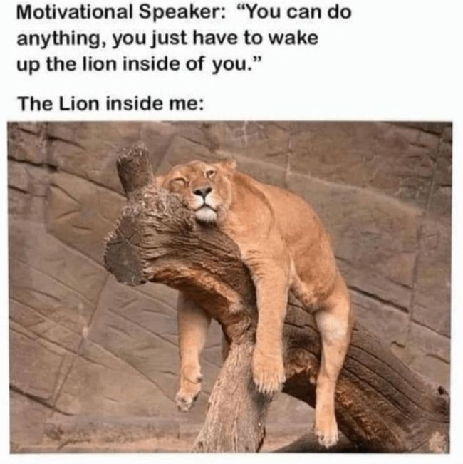 Name:  Lion_Motivation.jpg
Views: 286
Size:  58.0 KB