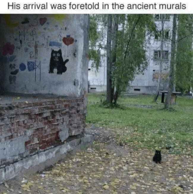 Name:  Cat_Ancient_Murals.jpg
Views: 437
Size:  81.2 KB