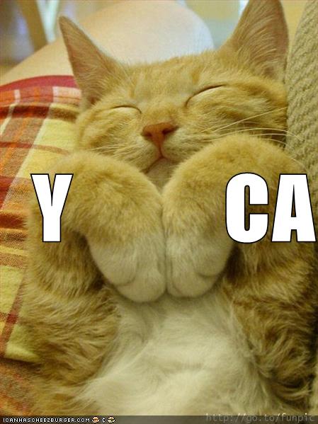 Name:  funny-pictures-ymca-cat.jpg
Views: 844
Size:  43.3 KB