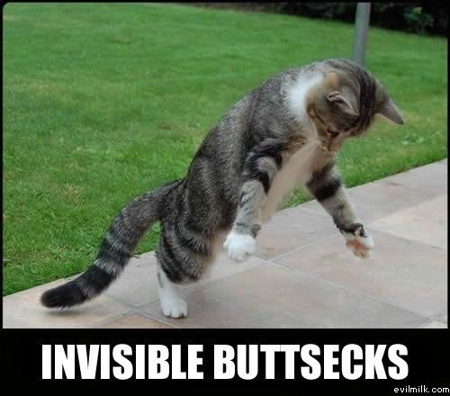 Name:  Invisible_buttsecks.jpg
Views: 24748
Size:  35.0 KB