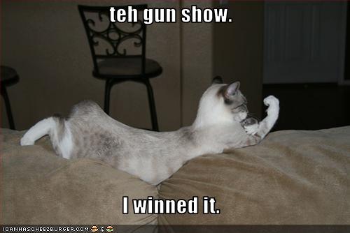 Name:  funny-pictures-cat-won-gun-show.jpg
Views: 3421
Size:  20.7 KB