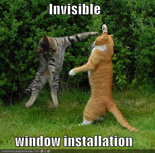 Name:  Cat-install-invisible-windows.jpg
Views: 3480
Size:  67.1 KB