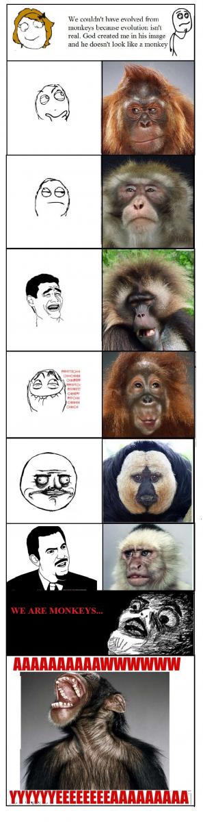 Name:  monkeys.jpg
Views: 1698
Size:  66.2 KB