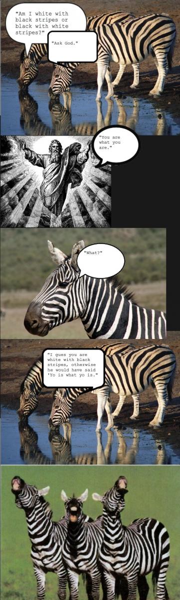 Name:  zebra.jpg
Views: 3343
Size:  98.3 KB