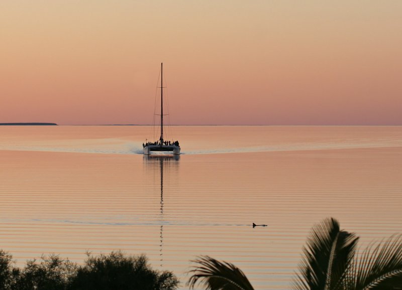 Name:  vachss- End of a Shark Bay Day.jpg
Views: 1232
Size:  47.1 KB