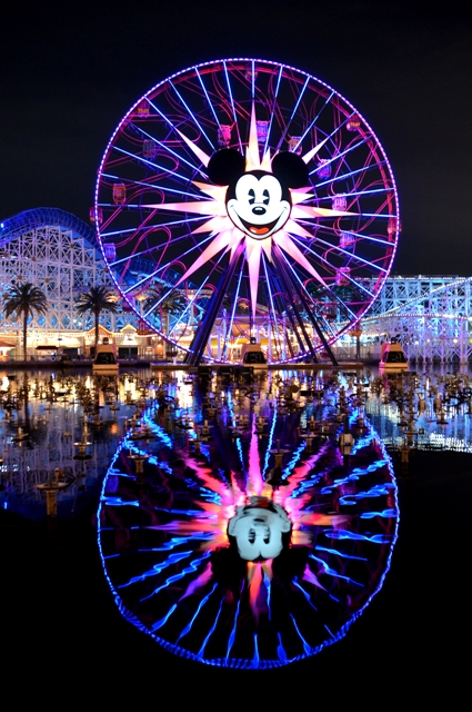 Name:  Mickey upright Reflection.JPG
Views: 1187
Size:  281.0 KB