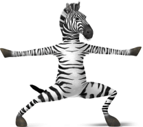 Zebra1